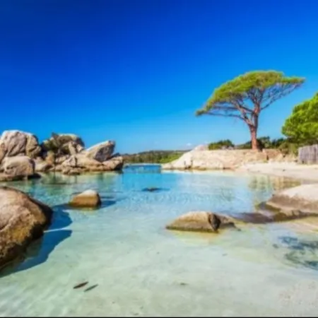 Σπίτι διακοπών Les Bergeries De Piazzagina *