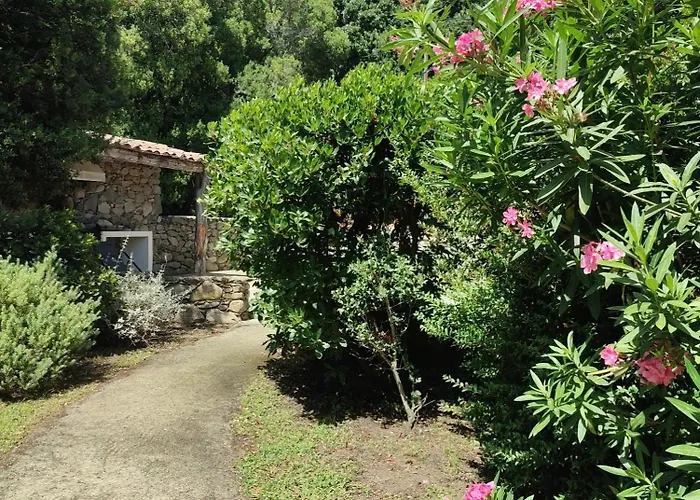Les Bergeries De Piazzagina Dom wakacyjny