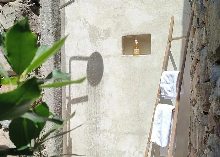 Les Bergeries De Piazzagina Pedi Quarciu