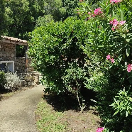 Les Bergeries De Piazzagina Dom wakacyjny